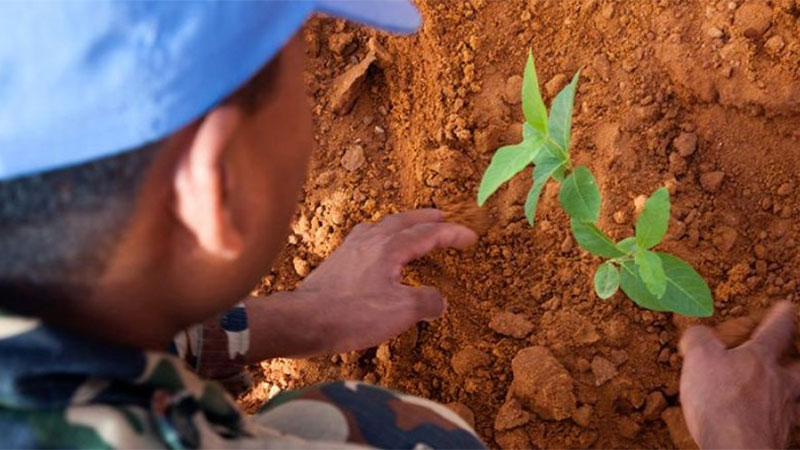 डिसेम्बर ५ : विश्व माटो दिवस मनाइँदै